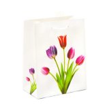 Geschenktasche "Frühling" groß