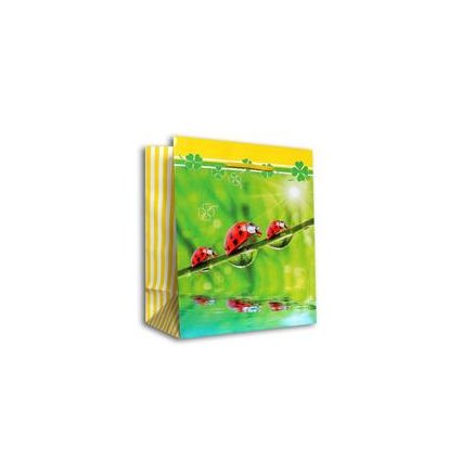 Geschenktasche Good Luck gro