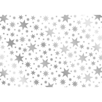 Geschenkpapier Beautyful Stars silber  70 cm x 1,5 m