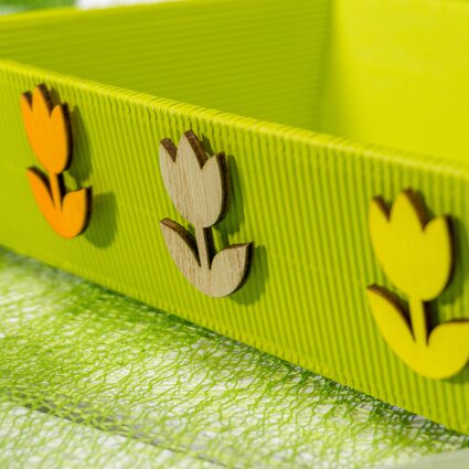 Tulpen mit Klebepunkt, sortiert