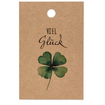 Papieranhänger "Viel Glück"
