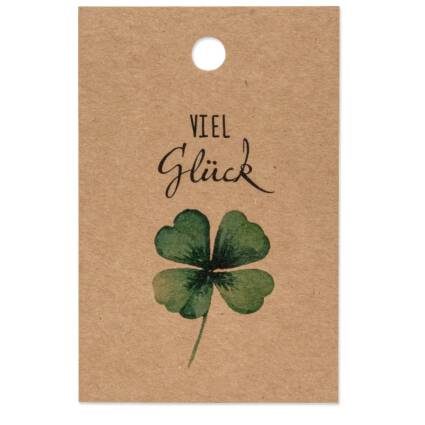 Papieranhänger "Viel Glück"